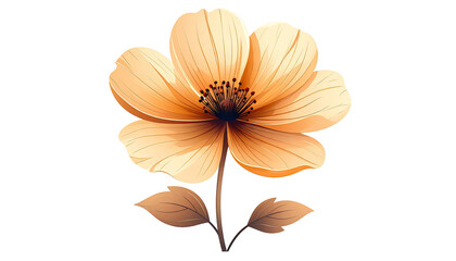 A single, light orange flower