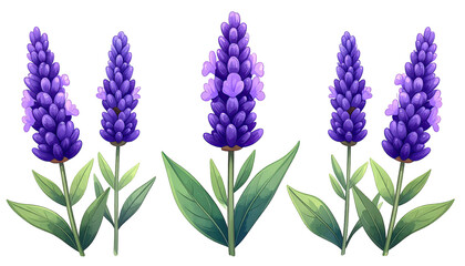 Four Lavender Spikes in Row