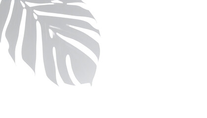 Silhouette of a leaf, light gray on black