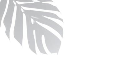 Silhouette of a leaf, light gray on black