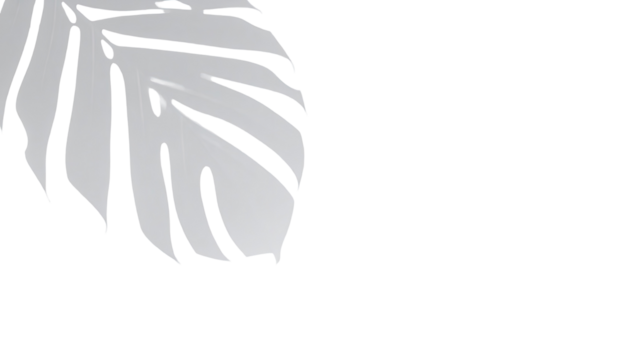 Silhouette of a leaf, light gray on black