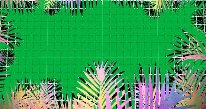At frame four grid and pastel palm fronds rotating clockwise on transparent canvas showing rotation