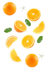 floating orange slices, whole fruit, blossoms, and leaves against a black backdrop