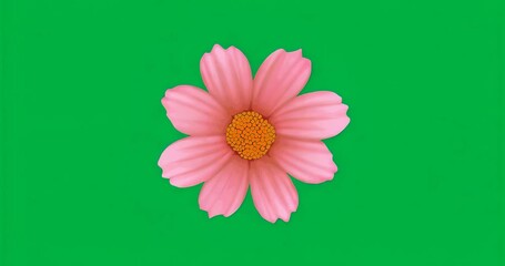 At start pink flower rotating clockwise over transparent mosaic backdrop visualizing rotation - Powered by Adobe