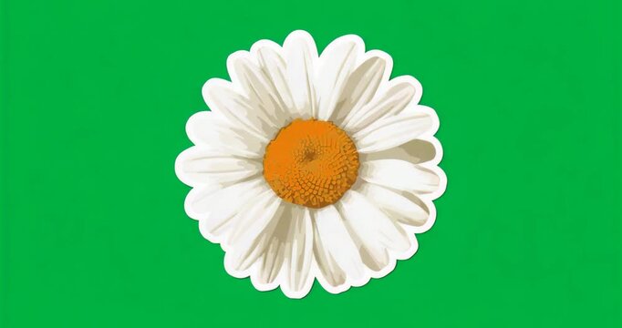 Stylized white daisy remaining centered against blue mosaic backdrop on transparent background