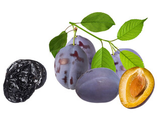 arrangement of fresh and dried plums with plum slices