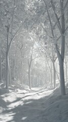 Serene white forest path sunlight scene