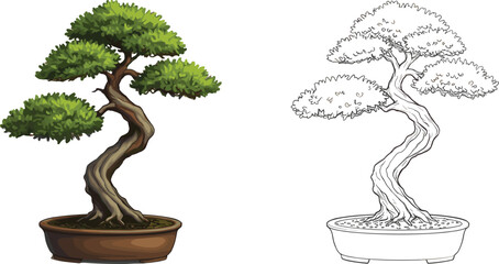 Bonsai tree illustration, colored and line art, Japanese miniature plant, potted ornamental tree, botanical drawing, nature design, coloring book template