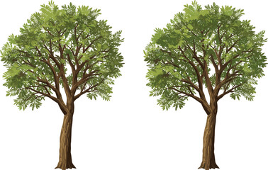 Realistic green trees illustration, lush foliage, brown trunks, nature landscape design, botanical drawing, eco-friendly concept, isolated white background, environmental conservation art