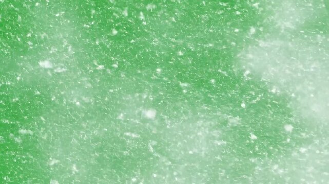 A heavy blizzard of snow fiercely blowing and swirling across a solid green screen for intense weather effects blowing, blizzard, snow