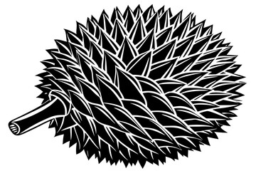 black and white durian fruit