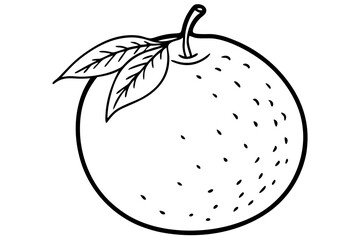 vector illustration of an tangerine fruit