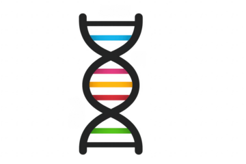 Colorful DNA Double Helix Structure on Transparent Background