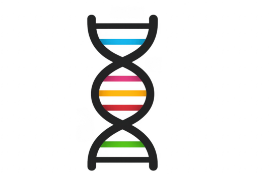 Colorful DNA Double Helix Structure on Transparent Background