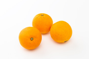 オレンジ　白バック