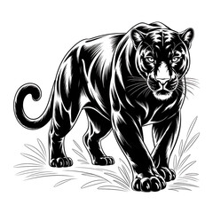 Fototapeta premium vector illustration of a leopard