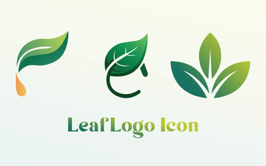 Leaf Icon for logo 