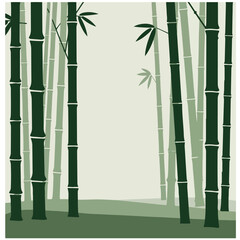 Dark green bamboo forest illustration