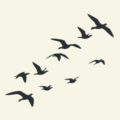 Silhouettes of birds gracefully soaring against a light background, creating a sense of freedom