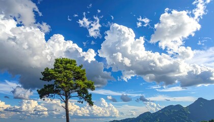Vibrant Blue Sky with Fluffy White Clouds and Green Tree Stand Alone Scenery in Bright Daylight Outdoors on Tropical Mountain Landscape