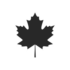 Fototapeta premium Black silhouette of a maple leaf on white Keywords: maple leaf, autumn, fall, nature, symbol