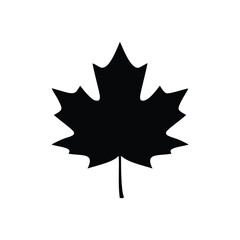 Black Silhouette of a Maple Leaf white background