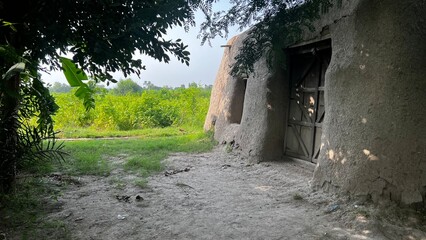 Rustic Dwelling by the Green Field: Capturing a tranquil moment, an old, weathered dwelling nestles beside a lush green field, evoking a sense of rural peace and timeless simplicity.
