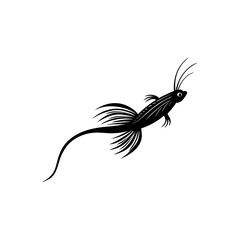 Jumping Bristletail Insect Graphic 