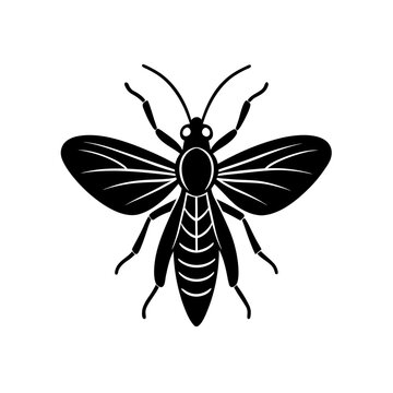 Strepsipteran Insect Graphic Design 