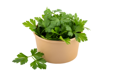 Fresh green parsley in a tan container against a for culinary and healthy lifestyle content creation and marketing materials