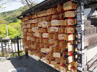 Wooden prayer plaques hanging at a shrine, traditional wishes and hopes expressed by visitors in a serene garden
