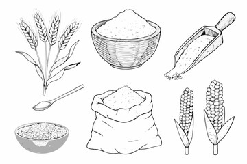 Collection of hand drawn grains and flour illustrations