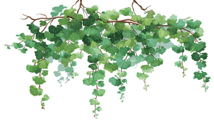 Naklejka premium A digital watercolor painting depicting a branch of ivy with numerous leaves hanging down. The leaves are various shades of green, rendered with soft, blended watercolor strokes. 