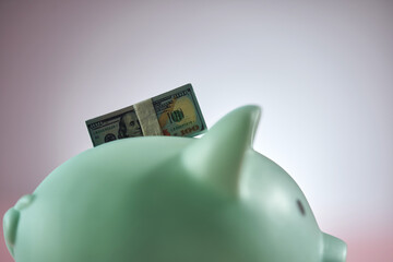 Pink Piggy bank Isolated on pink Background with stackof hundred dollar bill