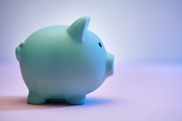 Close of of side view piggy bank