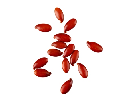 flax seeds isolated on transparent png
