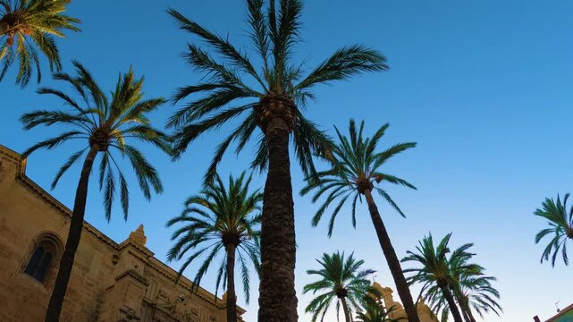 La Catedral de la Encarnaci&oacute;n de Almer&iacute;a es una catedral cat&oacute;lica romana de la ciudad, sede de la Di&oacute;cesis de Almer&iacute;a. Magn&iacute;fico ejemplo de arquitectura g&oacute;tica