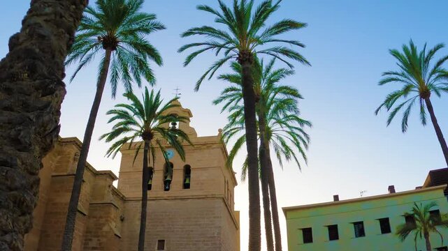 La Catedral de la Encarnaci&oacute;n de Almer&iacute;a es una catedral cat&oacute;lica romana de la ciudad, sede de la Di&oacute;cesis de Almer&iacute;a. Magn&iacute;fico ejemplo de arquitectura g&oacute;tica