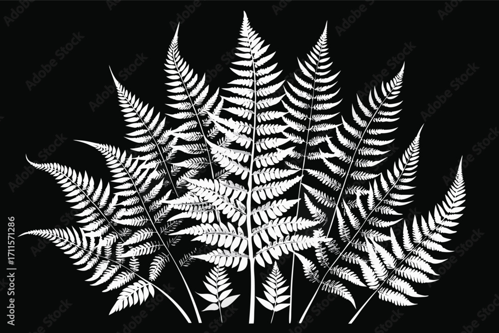 Poster ferns creating an intricate design against a dark background in a modern botanical art display