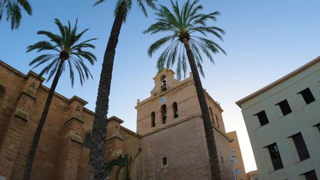 La Catedral de la Encarnaci&oacute;n de Almer&iacute;a es una catedral cat&oacute;lica romana de la ciudad, sede de la Di&oacute;cesis de Almer&iacute;a. Magn&iacute;fico ejemplo de arquitectura g&oacute;tica