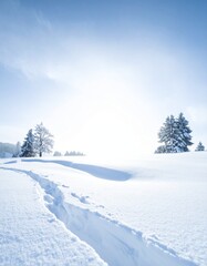 Fototapeta premium Heavy snow