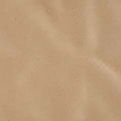 Rustic Kraft Paper Texture