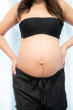 pregnant woman touches belly, Concepts of pregnancy and family. Place for text. Place for your advertisement
