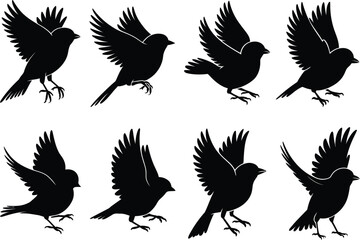 Obraz premium Silhouettes of a small bird in various flight poses