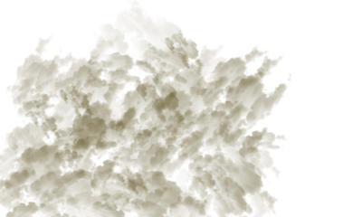 A brown and white cloud like formation against a black background with visible pixelation effects