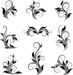 Fototapeta premium Elegant black floral swirl ornaments and flourishes for decorative design elements and vintage accents