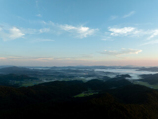 Foggy morning scenery of Boseong. 안개가 낀 보성군의 아침 풍경.