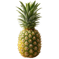Fototapeta premium Ripe pineapple pineapple crown tropical fruit golden skin spiky leaves fresh fruit