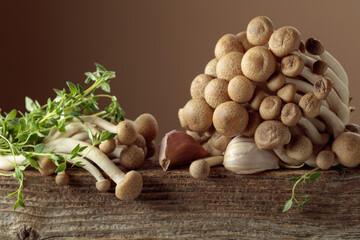 Fresh shimeji mushrooms with thyme and garlic.