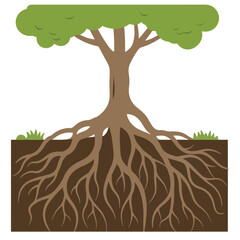 Illustration of a tree with foliage above ground and a complex root system underground